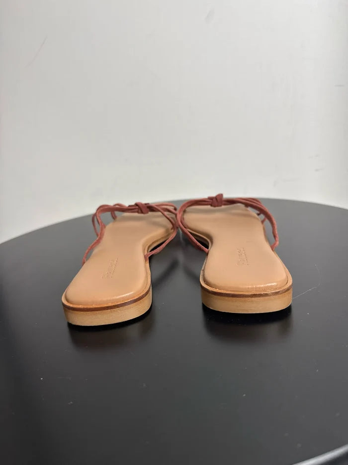 Flattered Mimosa-skor NWOT