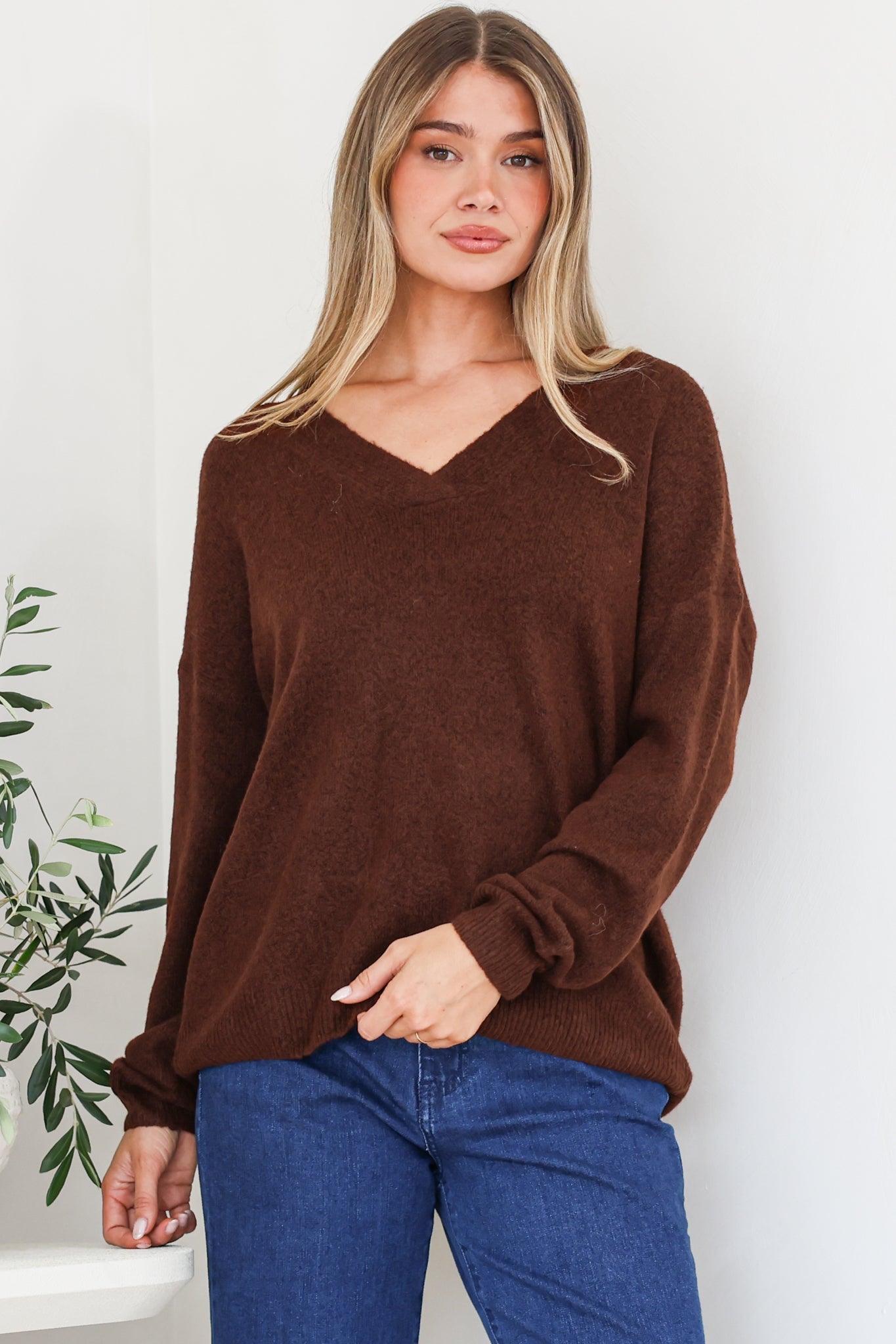 Donoven Jumper - V Neck Lightweight Knit with Ribbed Hemlines in Coffee