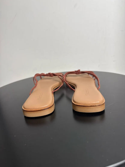 Flattered Mimosa-skor NWOT